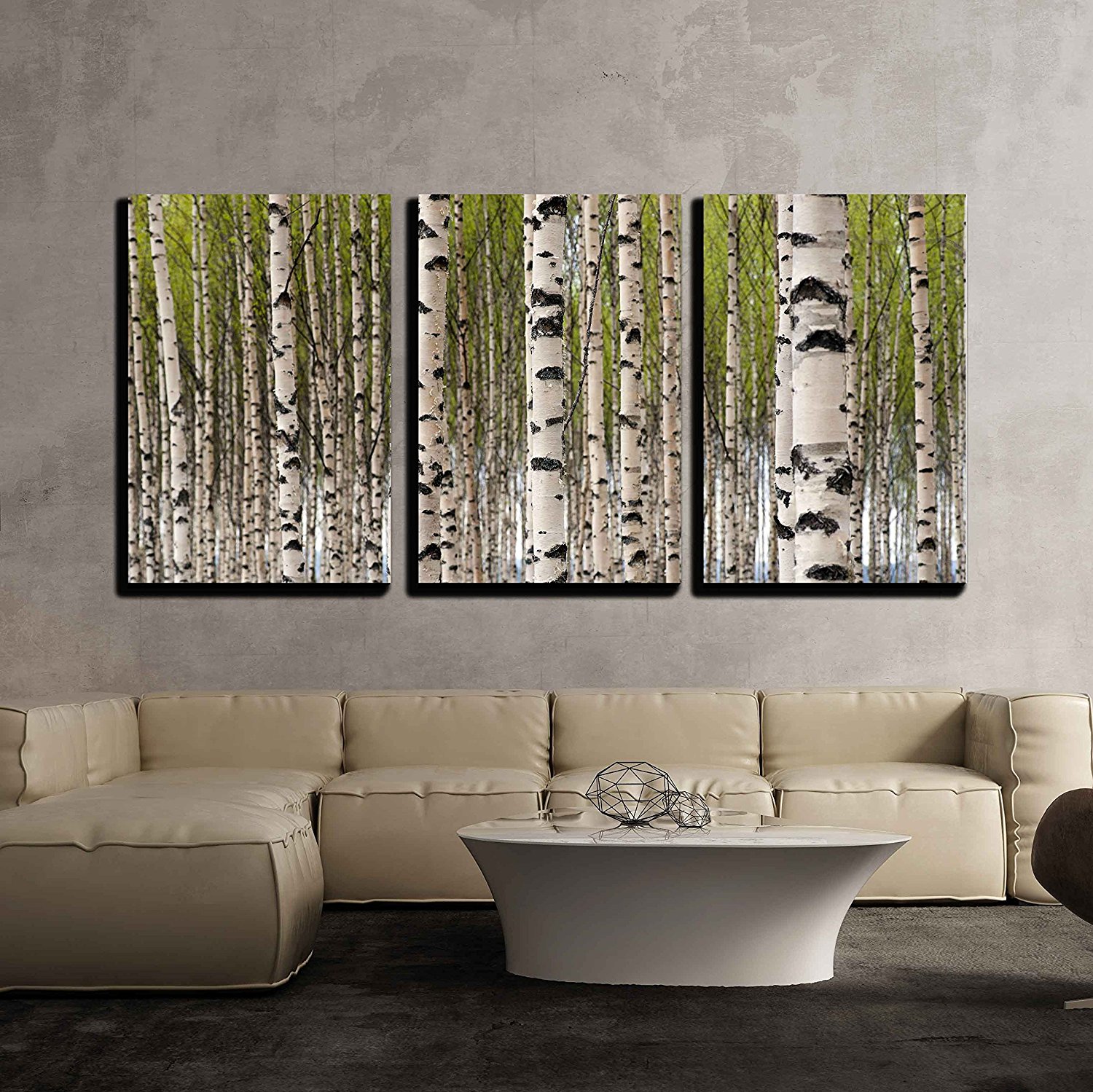 Grove of Birch Trees with Green Leaves in Spring Modern Canvas Print Drop shipping