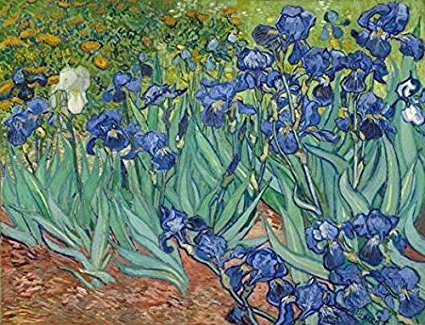Irises van gogh canvas print Famous Flowers Oil Paintings Reproduction Drop shipping