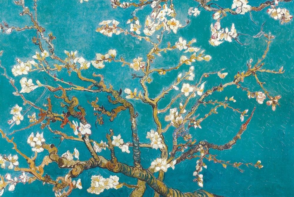 Almond Branches in Bloom 1890 Poster by Vincent van Gogh drop shipping