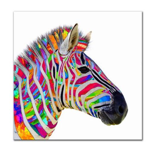 Colorful Stylized Zebra Portrait wall art canvas print drop shipping