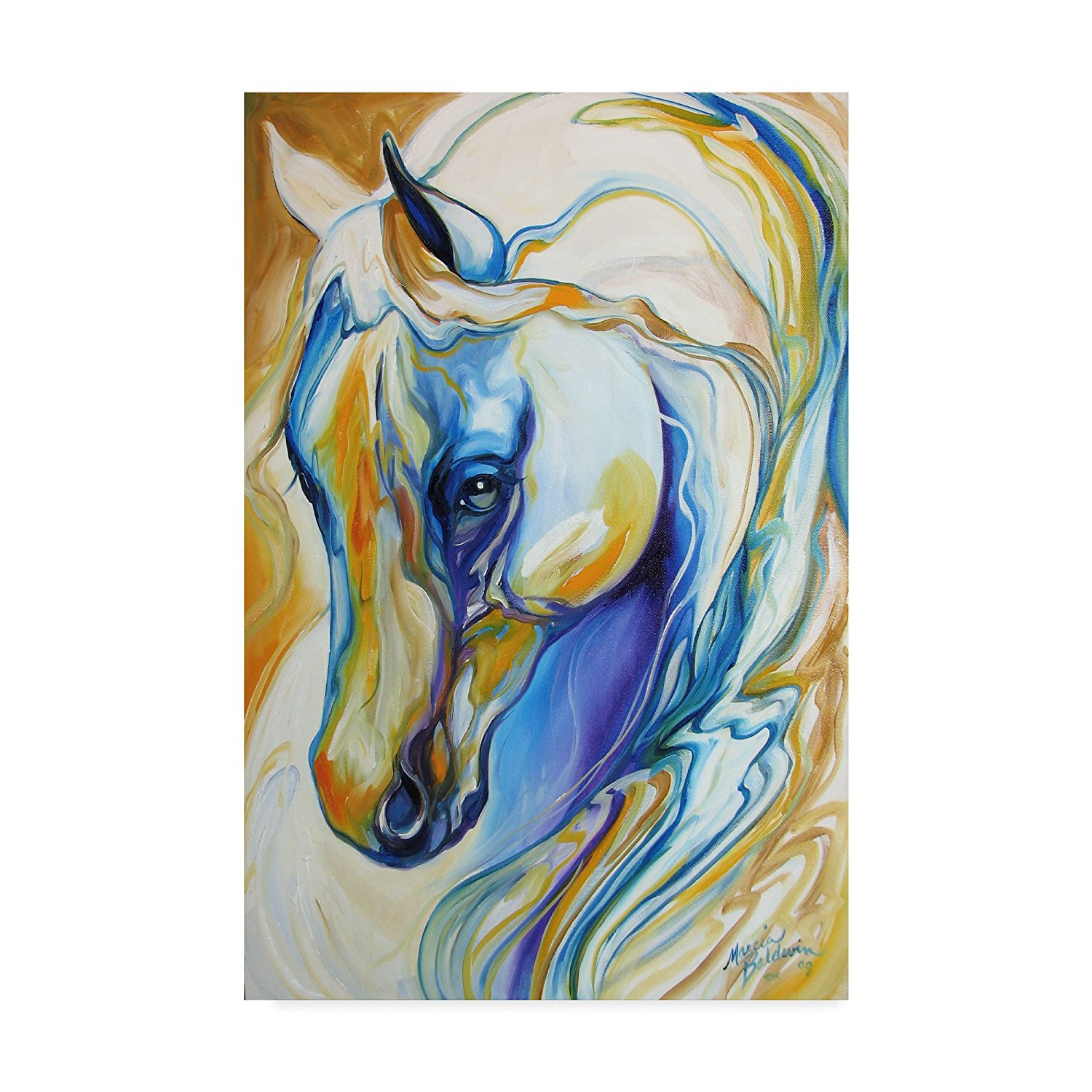 Fine Art Arabian Abstract  Animal Horse Canvas print wall art drop shipping